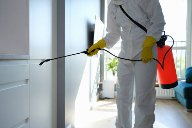 Best Mold Remediation  in Delhi Hills, OH