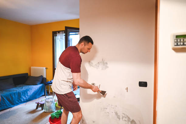 Mold Testing and Removal in Delhi Hills, OH